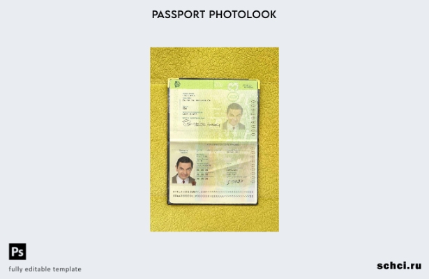 скачать цифровую версию шаблона фотографии паспорта Кот д'Ивуара